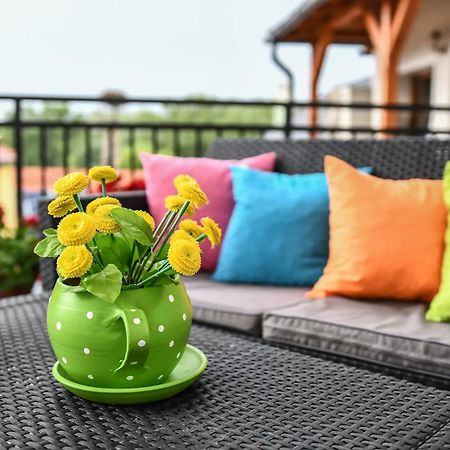 Bed and Breakfast É-Vaskó Panzió Borpince Tokaj Esterno foto